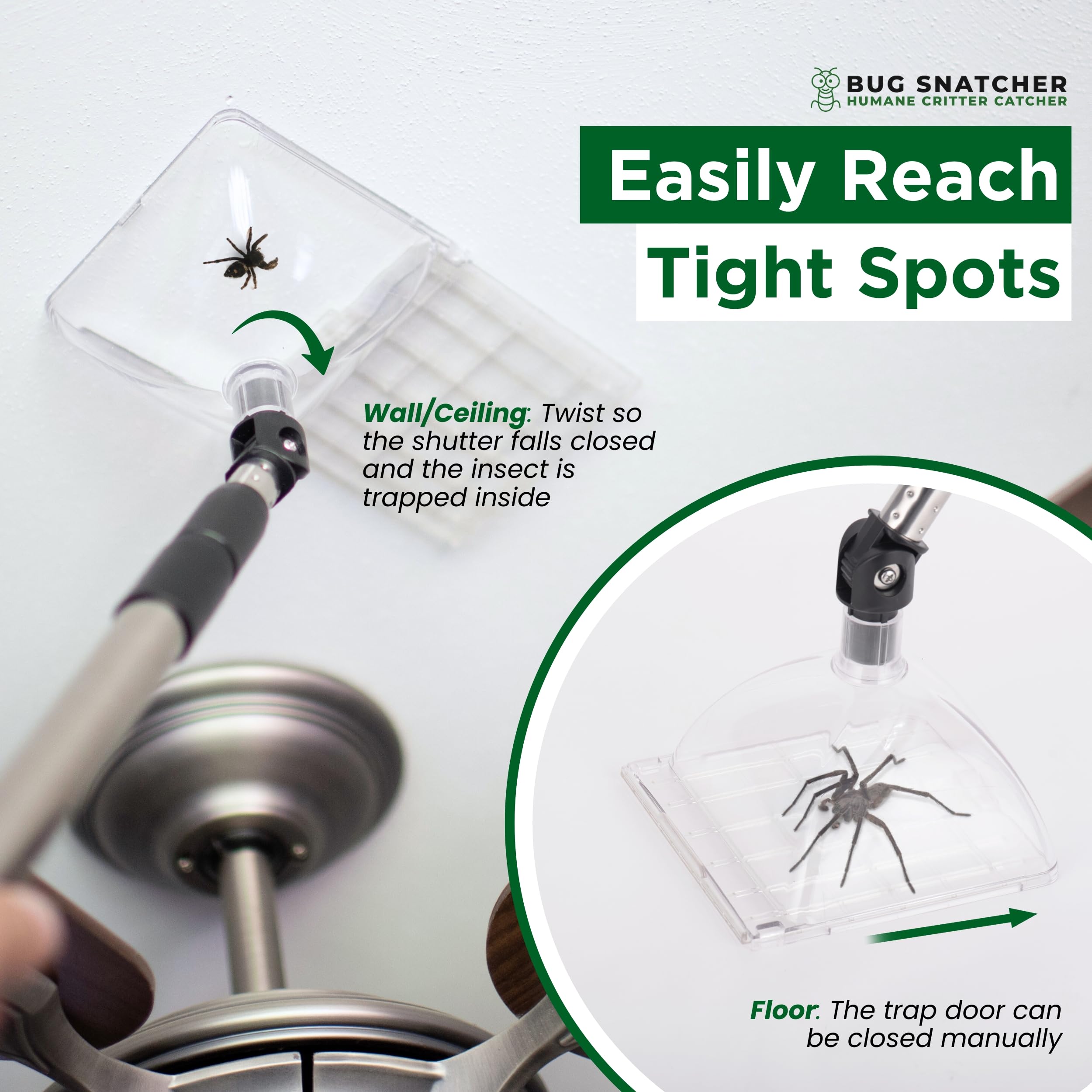 Bug Snatcher kids-friendly tool for observing insects safely