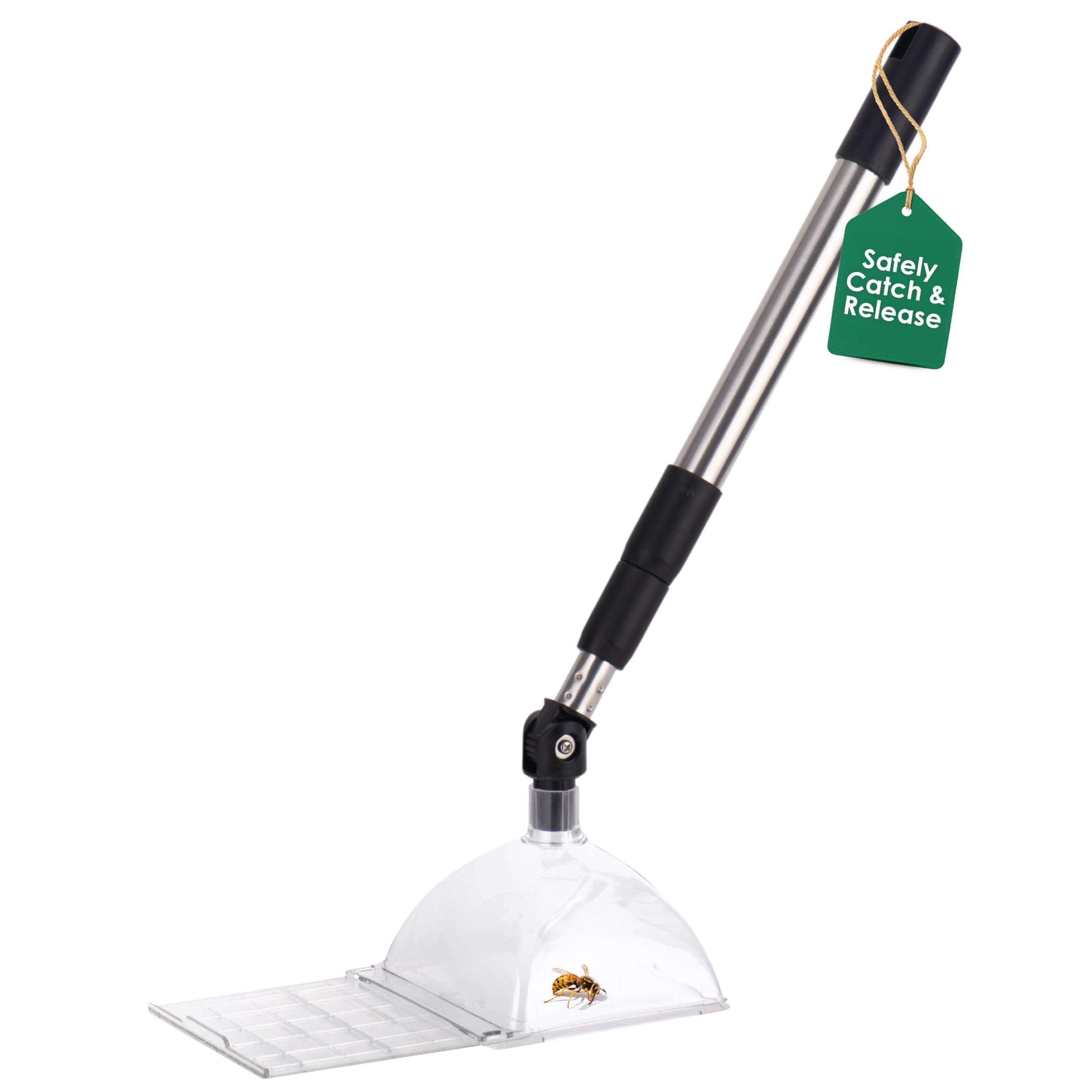Bug Snatcher portable design fits home, classroom, and outdoors