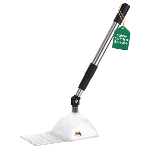 Bug Snatcher portable design fits home, classroom, and outdoors