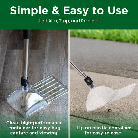 Bug Snatcher rotating head aids precise capture in tight spots