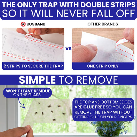 BugBane easy-setup fly trap installs in seconds with no mess.