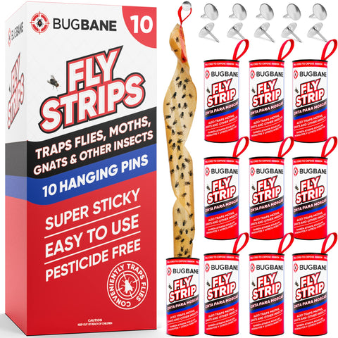 BugBane fly strips indoor sticky roll ready for fast indoor pest capture