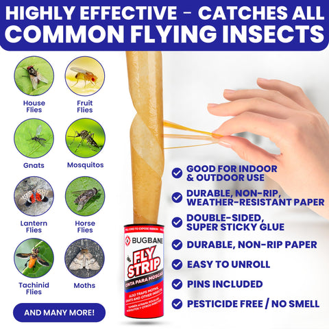BugBane fly strips pins for hanging setup for easy placement