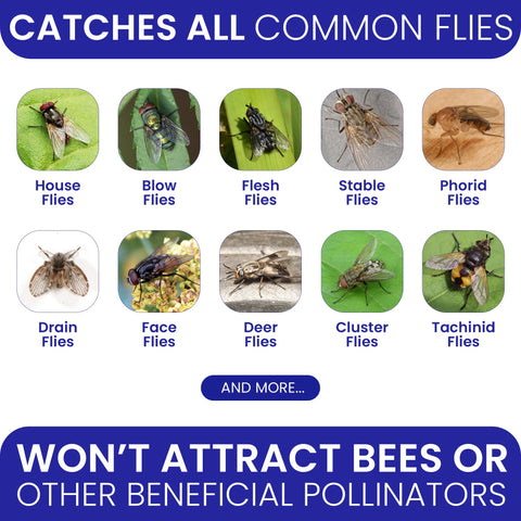 BugBane fly trap dissolvable bait refills safely control insects