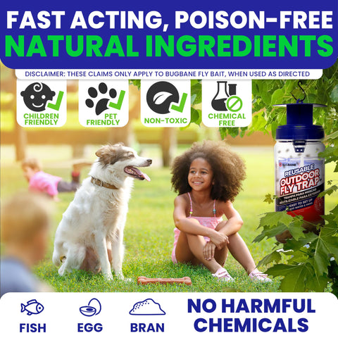 BugBane non-toxic bait dissolves in water to attract filth flies safely