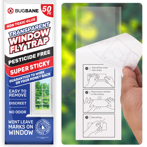 BugBane window fly trap closeup shows ultra-sticky surface for indoor capture.