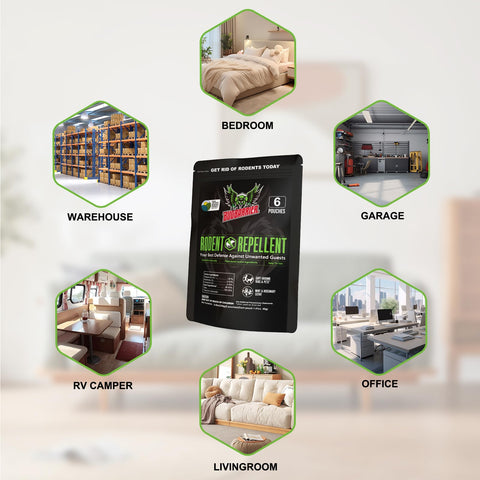 BugBarrier cabin or shed space demonstrates versatile indoor use.