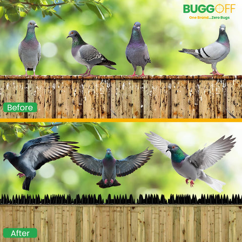 BUGGOFF 13-feet length provides long-run deterrence along structures.