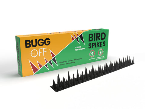 BUGGOFF Bird and Rodent Spikes on a fence deter pigeons and other invaders.