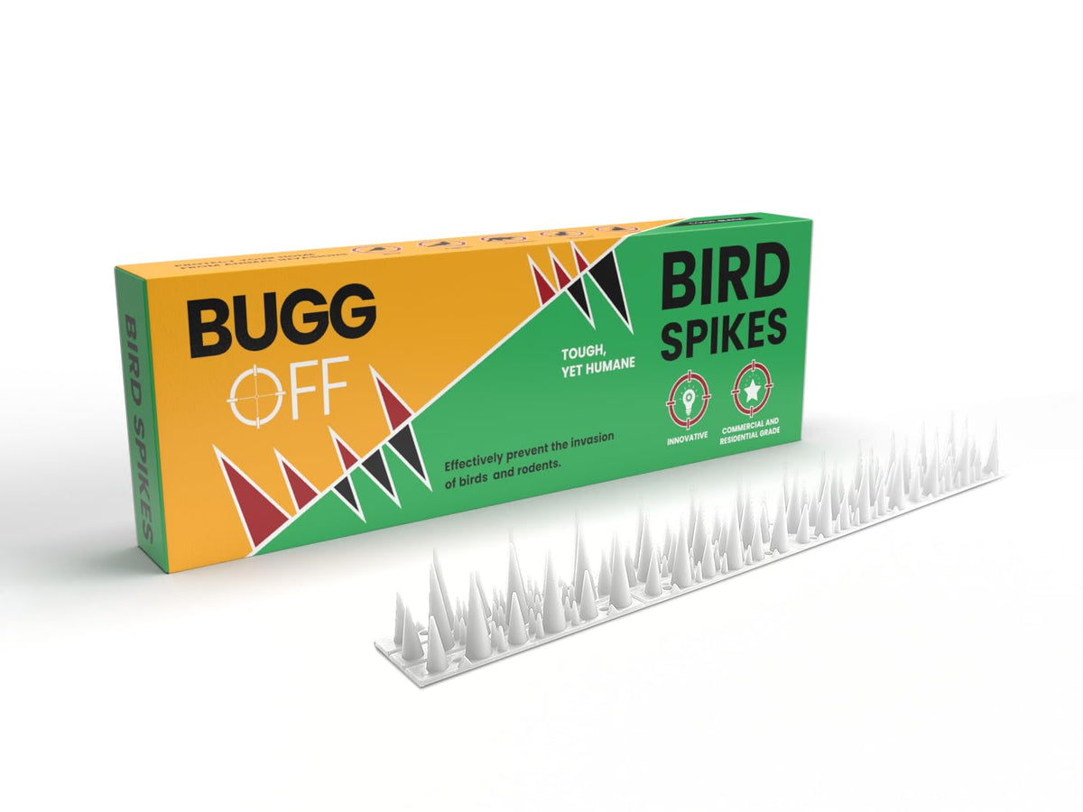 BUGGOFF bird spikes on fence deter pigeons and perching birds.
