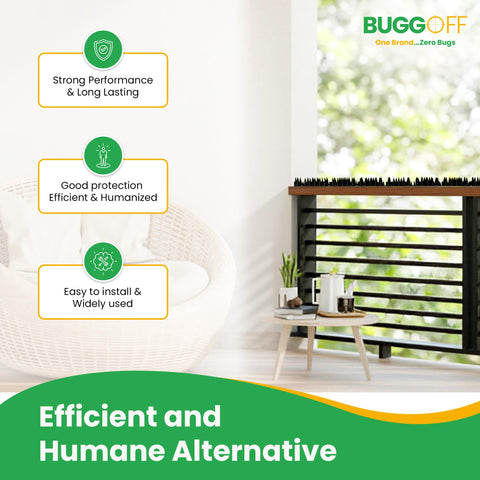 BUGGOFF spikes guard gates against rodents and larger intruders.