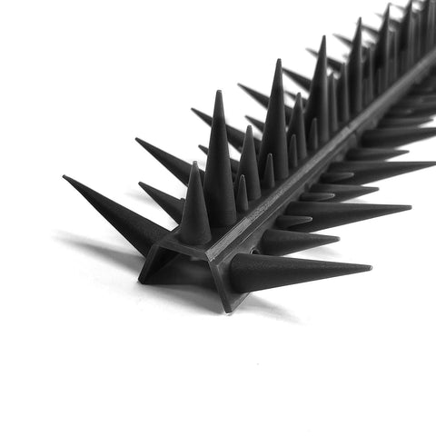 BUGGOFF spikes on a roof edge deter perching and protect the edge.