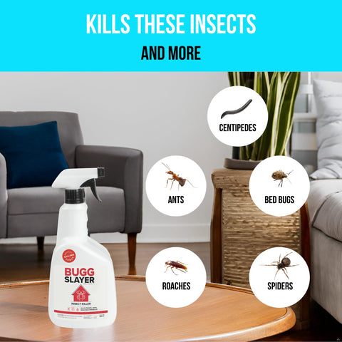 BUGGSLAYER kills bed bugs, ants, spiders, and roaches on contact.