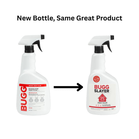 BUGGSLAYER interior application targets cracks and crevices for thorough coverage.