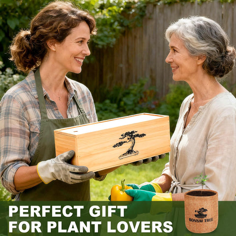 BuggyBeds gardening guide included to help beginners succeed.