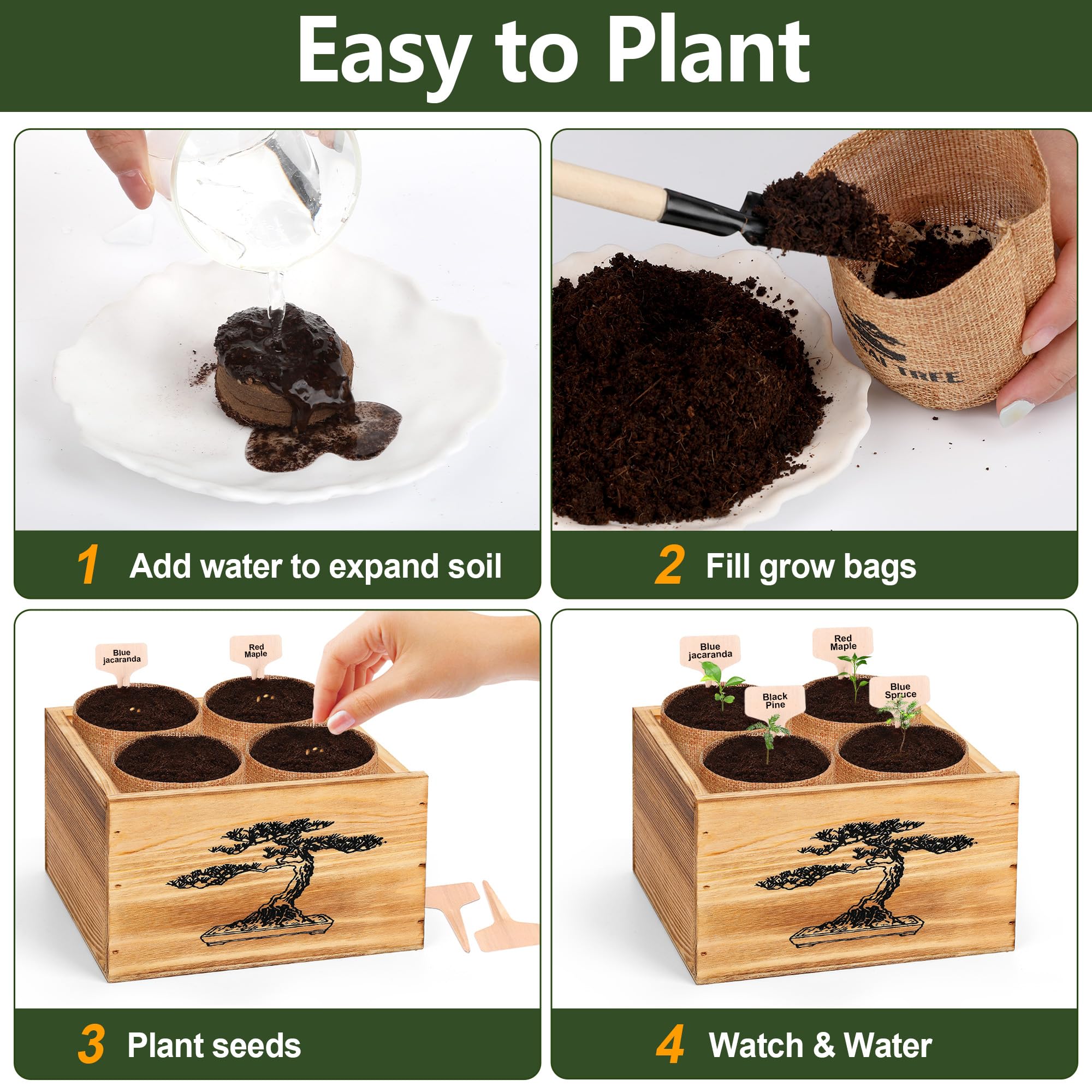 BuggyBeds bonsai pruner and tweezer for delicate trimming