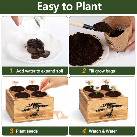 BuggyBeds bonsai pruner and tweezer for delicate trimming