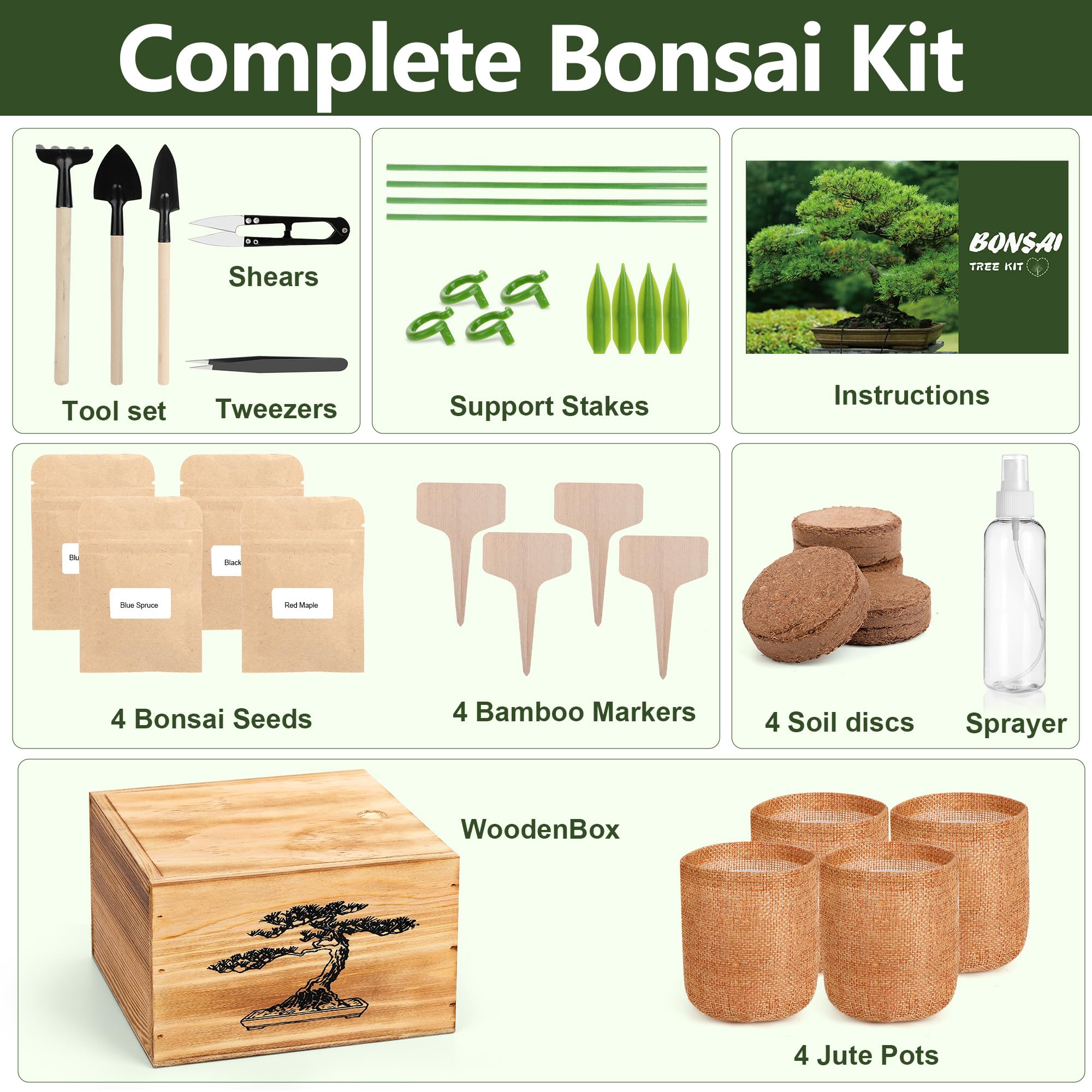BuggyBeds bonsai seeds assortment ready to grow in small indoor spaces