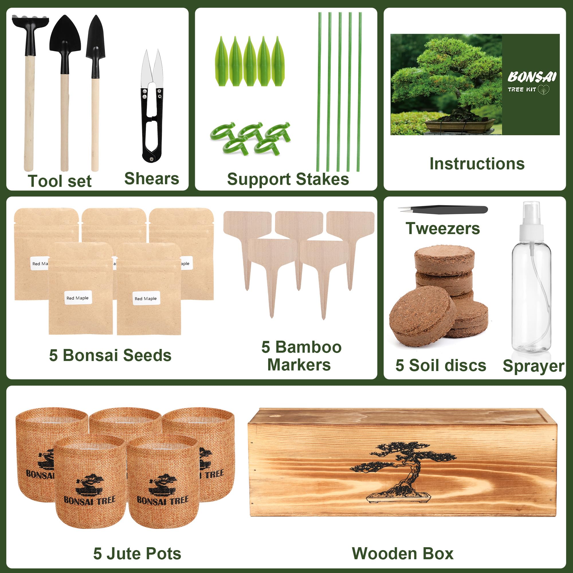 BuggyBeds bonsai seeds variety five varieties for indoor garden.