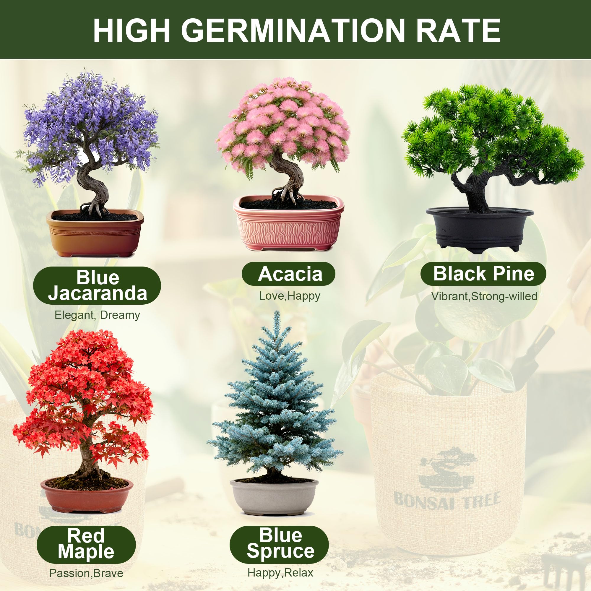 BuggyBeds soil discs for reliable germination and healthy seedlings.