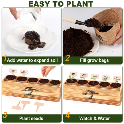 BuggyBeds water sprayer for gentle, consistent watering.