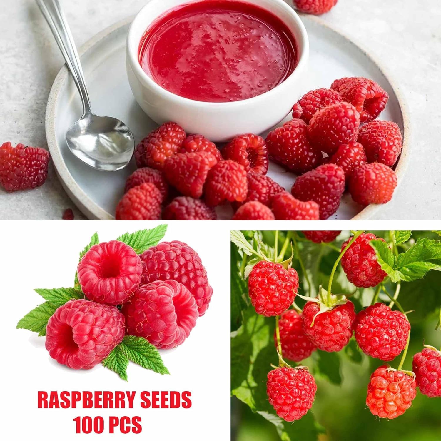 BuggyBeds cherry seeds close-up, compact option for seasonal berries.