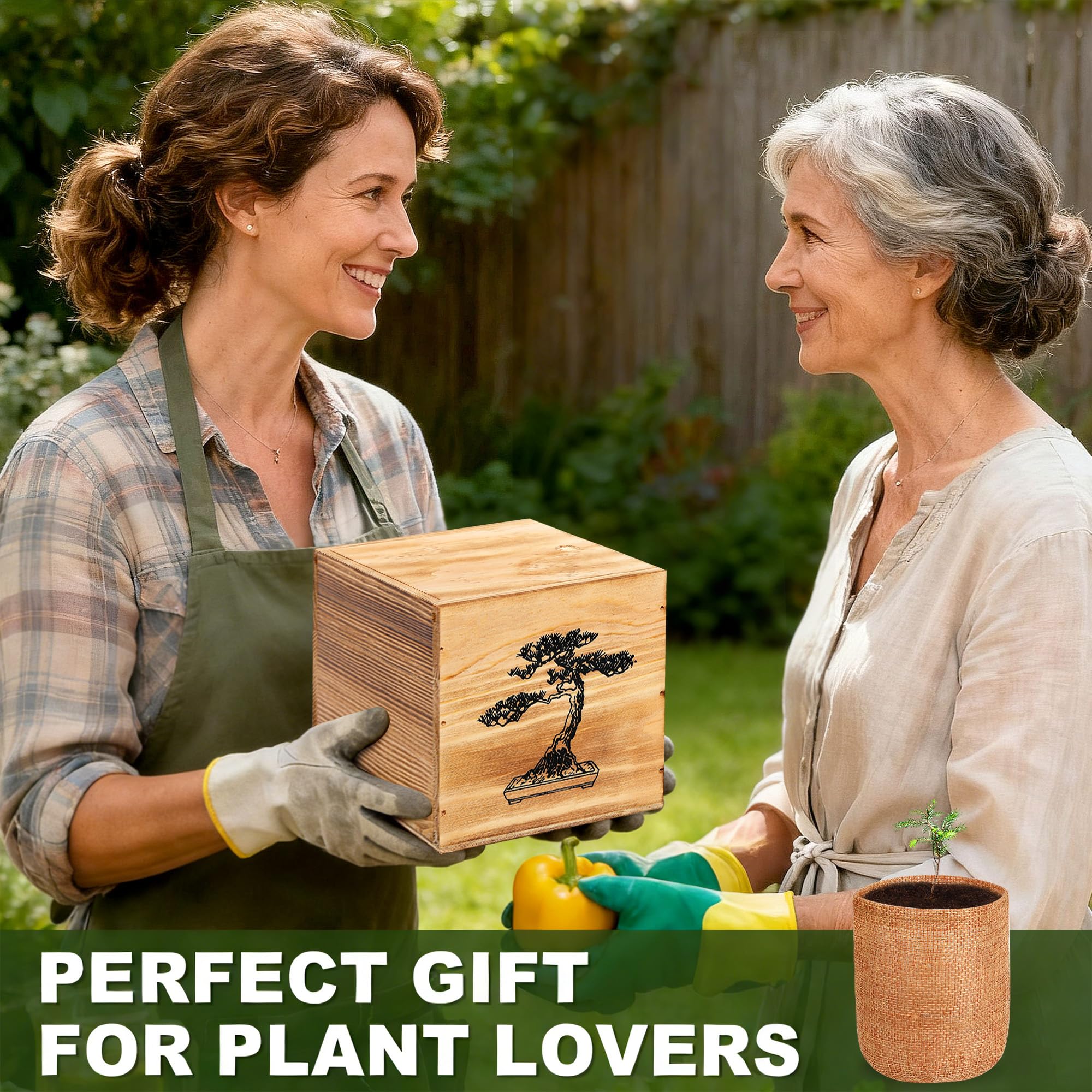 BuggyBeds complete starter bonsai kit supporting beginner-friendly indoor gardening