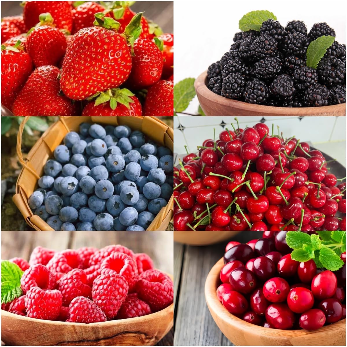 BuggyBeds fruit seeds variety pack 1500pcs for diverse home garden harvest