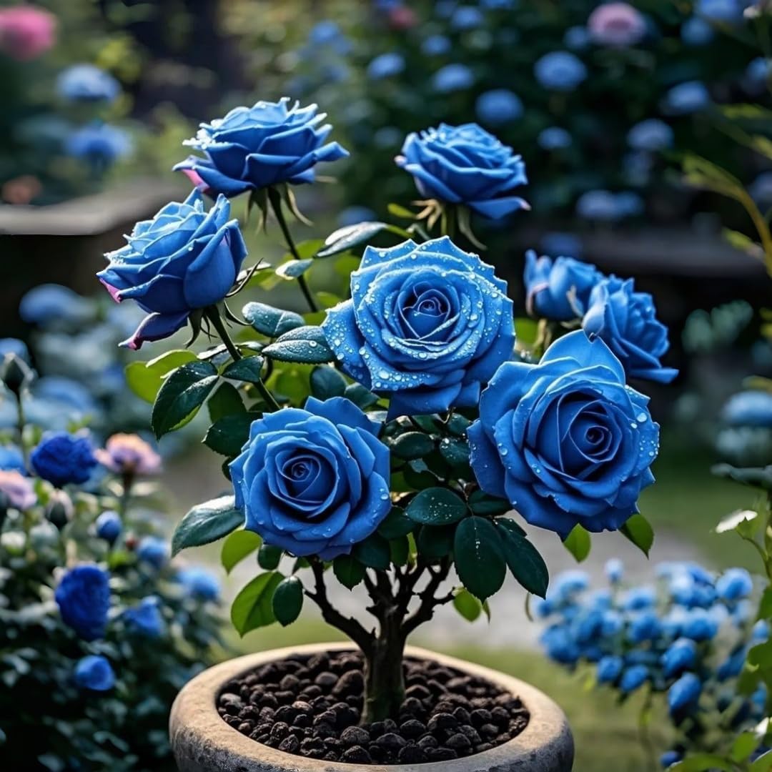 BuggyBeds gift-ready seeds present a thoughtful option for gardening lovers.