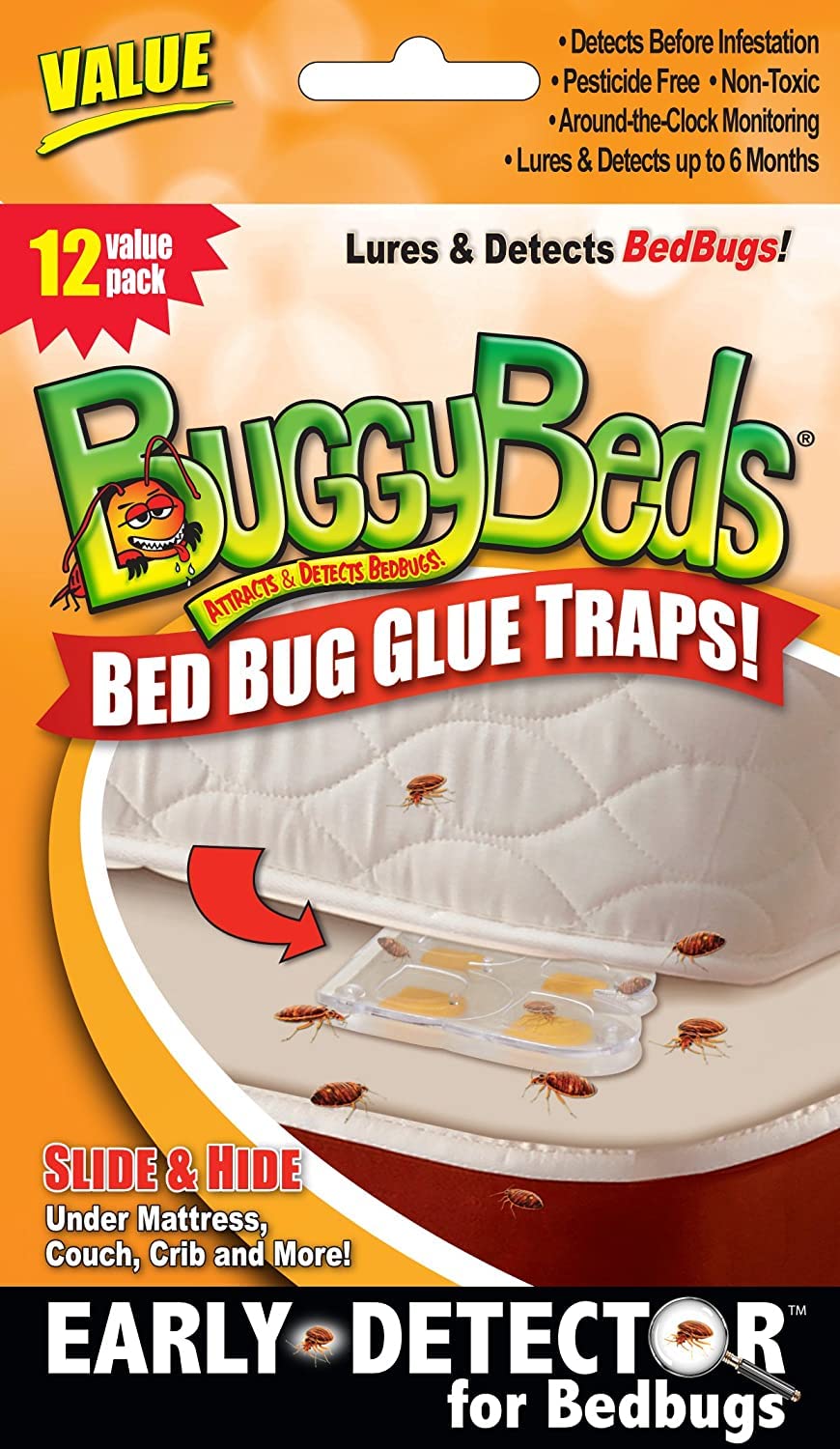BuggyBeds glue trap attractant visual showing monitoring capability