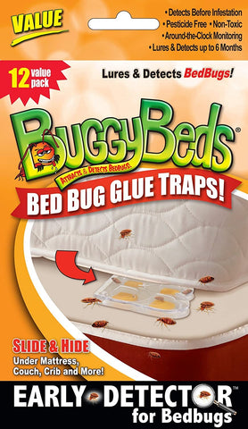 BuggyBeds glue trap attractant visual showing monitoring capability