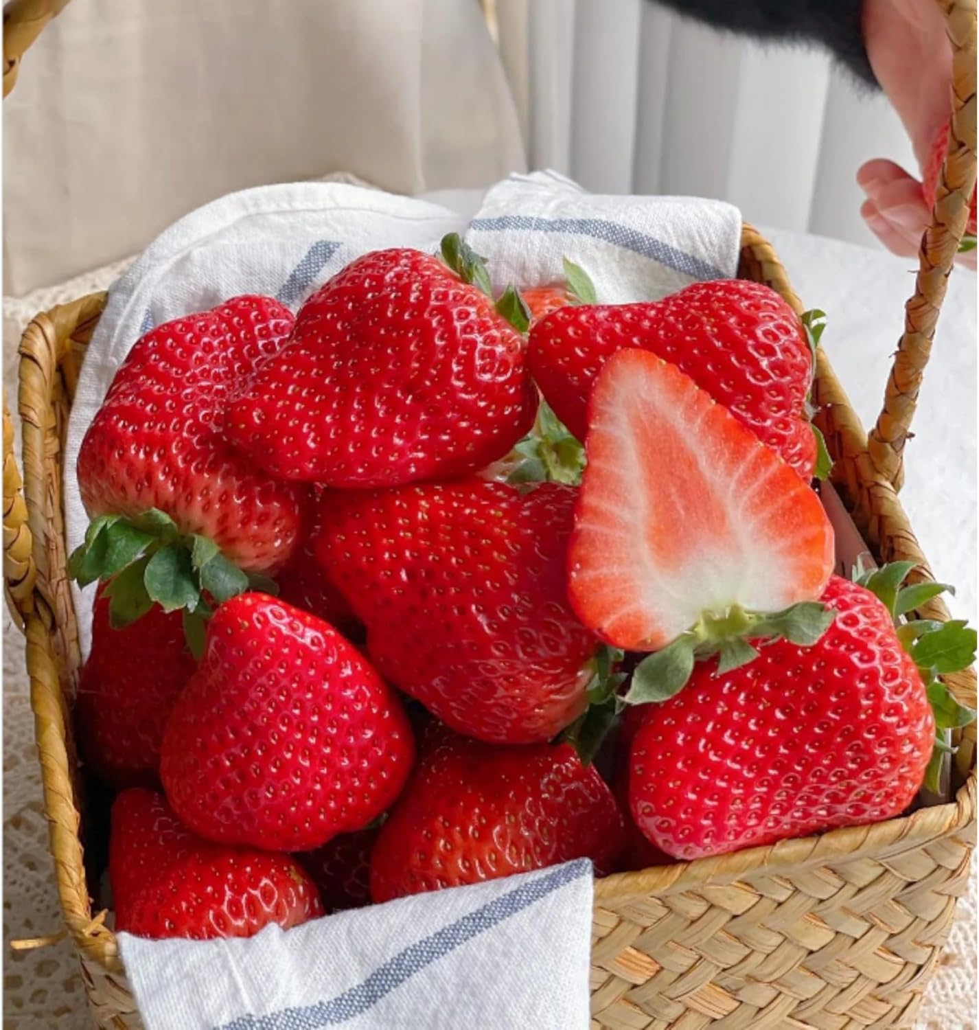BuggyBeds Harvested Cream Strawberries, ready for fresh eating.