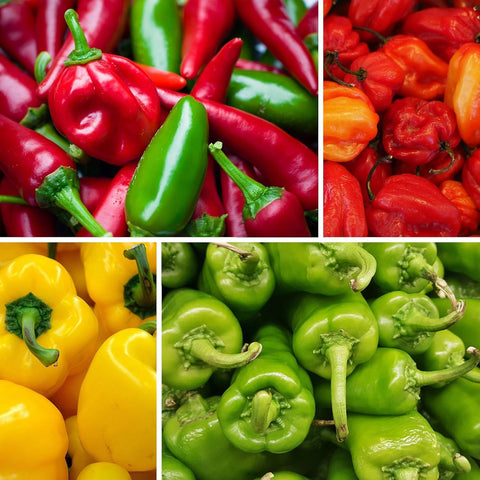 BuggyBeds jalapeno peppers in a basket ready for quick, spicy meals.