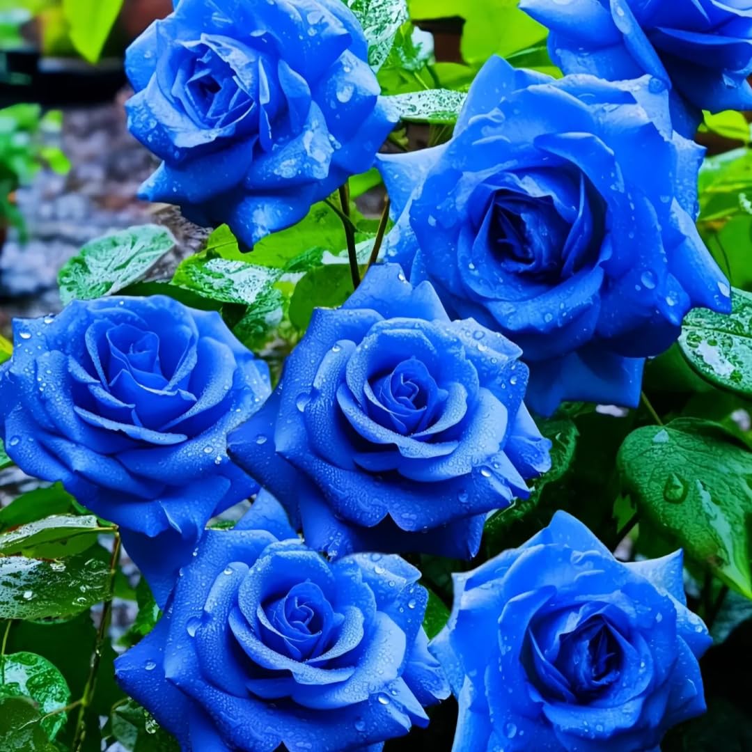 BuggyBeds long-lasting perennials offer repeated seasons of color and fragrance.