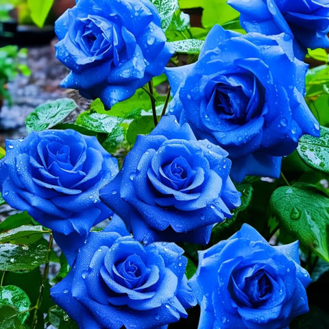 BuggyBeds long-lasting perennials offer repeated seasons of color and fragrance.