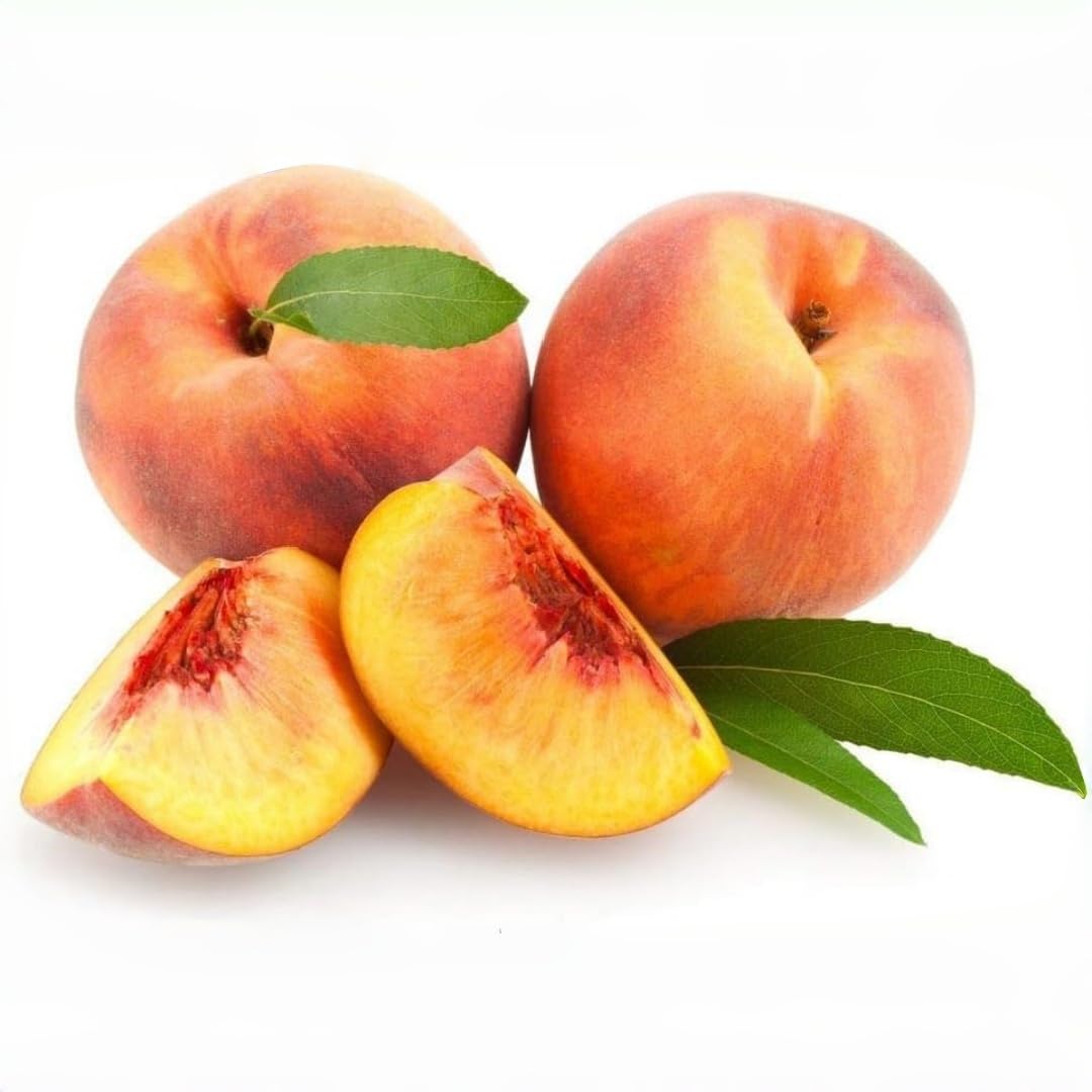 BuggyBeds peach tree seeds 5pcs peach fruit preview on tree for fresh harvest