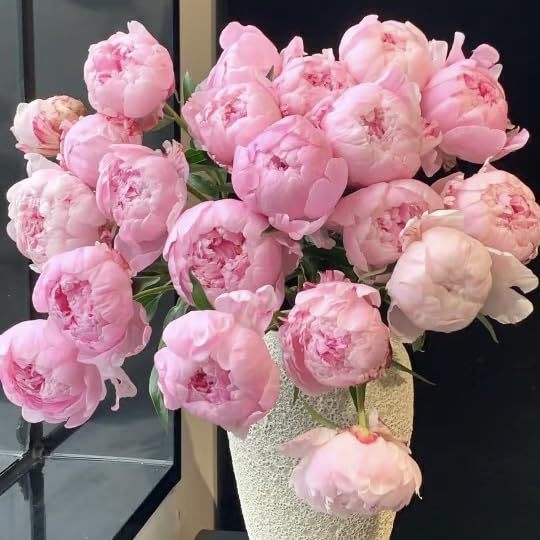 BuggyBeds Peony Lactiflora commercial-grade bloom, rich colors for exhibition-grade floristry.