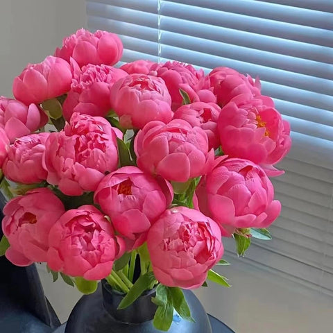 BuggyBeds Peony Lactiflora long-stem bloom, ideal for professional bouquets and arrangements.