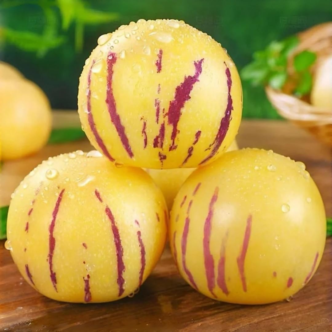 BuggyBeds Pepino melon seeds pack for home gardeners to start sweet fruits.