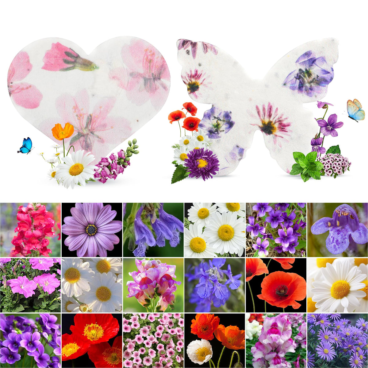 BuggyBeds plantable seed paper heart for eco friendly gifting that grows wildflowers