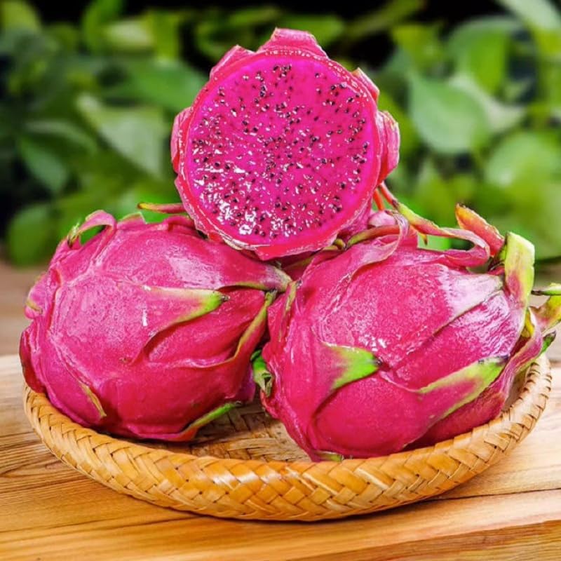 BuggyBeds Red Dragon Fruit seeds packaging shows easy home germination potential