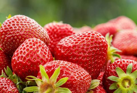 BuggyBeds red strawberry fruit close-up emphasizing classic flavor and easy harvest