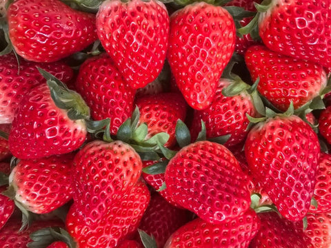 BuggyBeds Shade-Tolerant Strawberry for Indoor Growing, perfect for balconies.