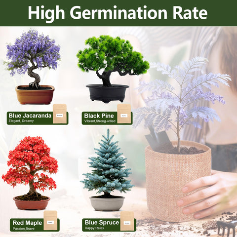 BuggyBeds soil discs and markers enabling easy germination and care