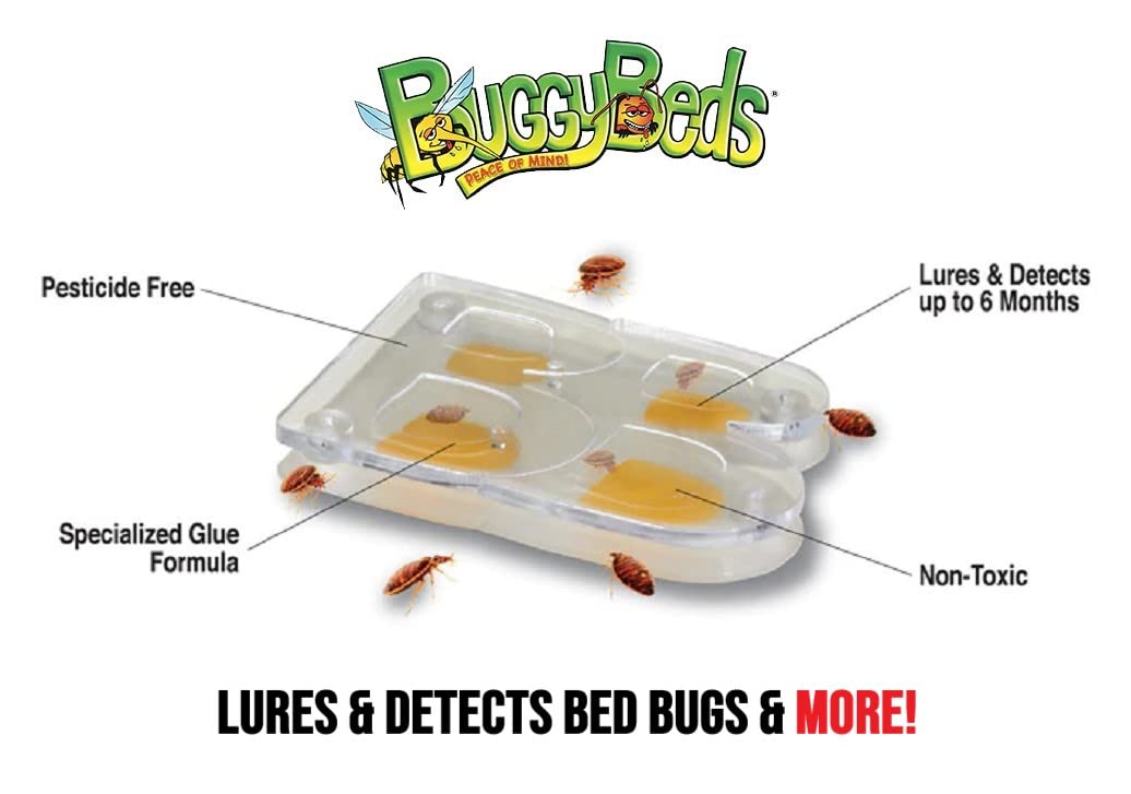 BuggyBeds discreet 2x3-inch trap blends in with home decor