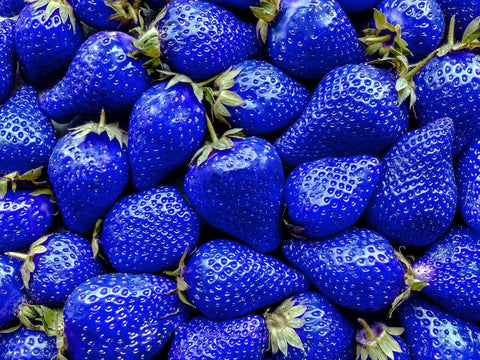 BuggyBeds white strawberry fruit close-up highlighting pale fruits and fresh flavor