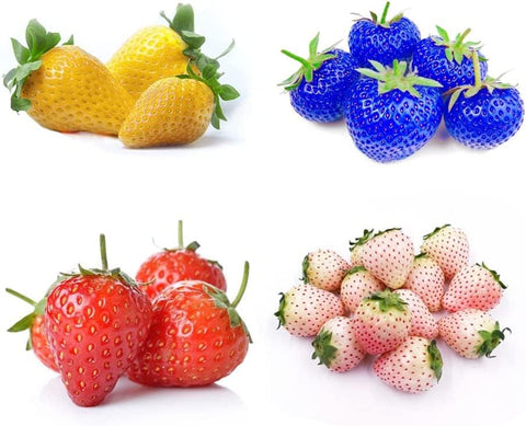 BuggyBeds yellow strawberry fruit close-up highlighting sunny color for ornamental use