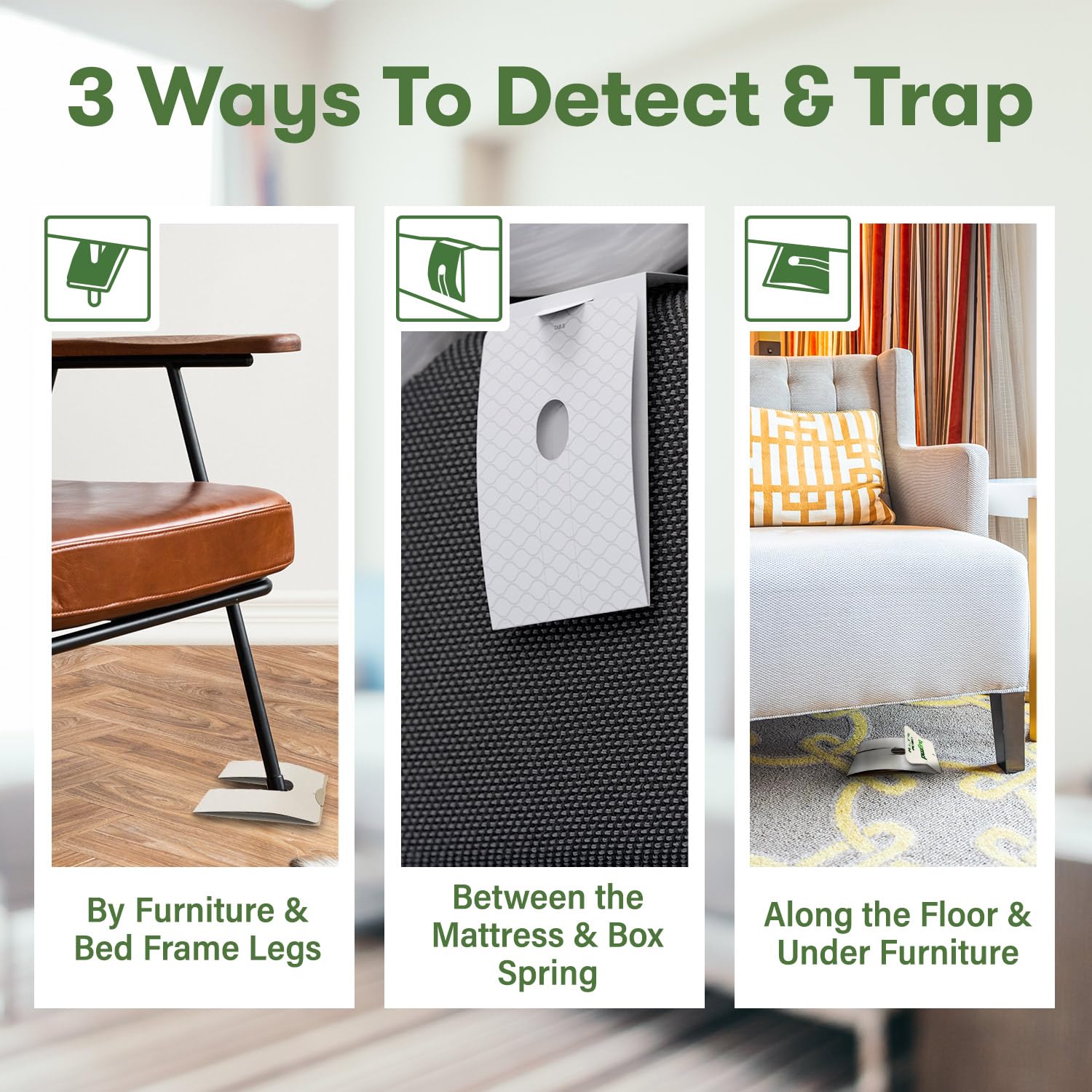 BugMD trap along the floor near furniture for early bed bug detection.