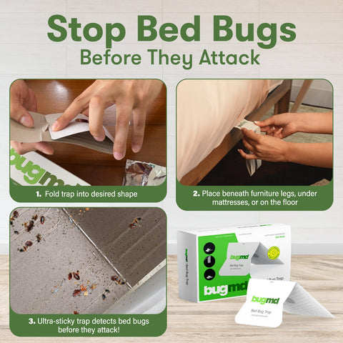 BugMD bed bug trap placed between mattress and bed frame for monitoring.