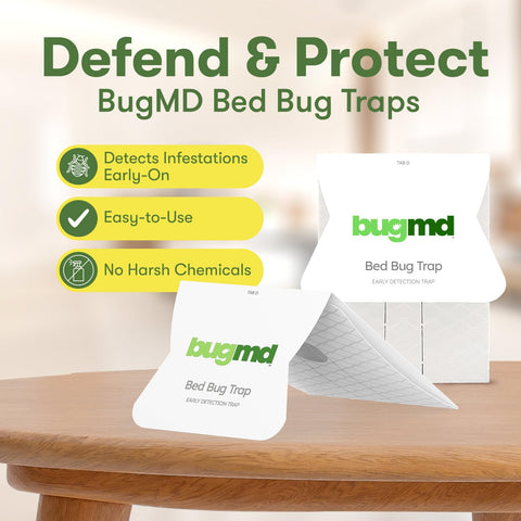 BugMD bed bug trap close-up on ultra-sticky glue showing strong adhesion.
